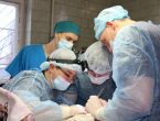Хирургическая подготовка студентов и курсантов